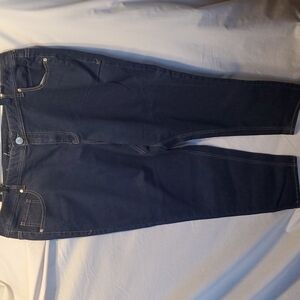 Lane Bryant Jeans SZ 24P